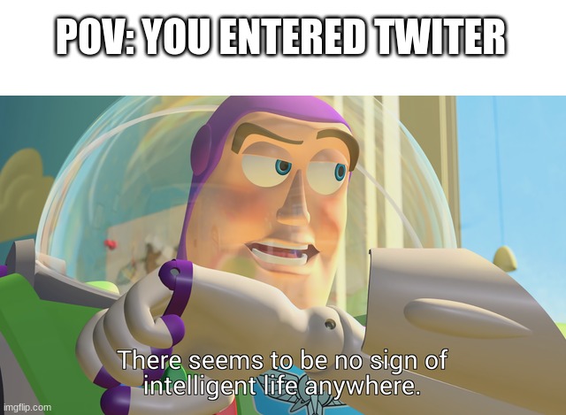 bruh | POV: YOU ENTERED TWITER | image tagged in blank white template,there seems to be no sign of intelligent life anywhere | made w/ Imgflip meme maker
