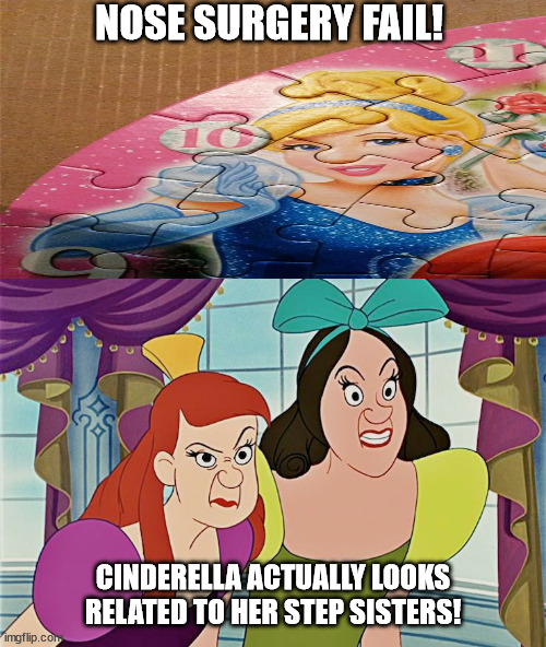 NOSE SURGERY FAIL! CINDERELLA ACTUALLY LOOKS RELATED TO HER STEP SISTERS! | made w/ Imgflip meme maker