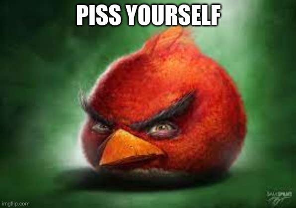 Angry Birds | PISS YOURSELF | image tagged in realistic red angry birds,pee | made w/ Imgflip meme maker