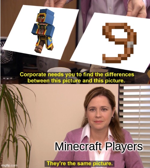 MEME | Minecraft Players | image tagged in memes,they're the same picture | made w/ Imgflip meme maker