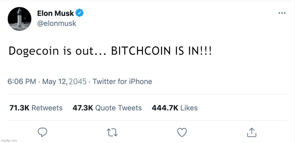 elon musk in the future | Dogecoin is out... BITCHCOIN IS IN!!! 2045 | image tagged in elon musk blank tweet,future | made w/ Imgflip meme maker