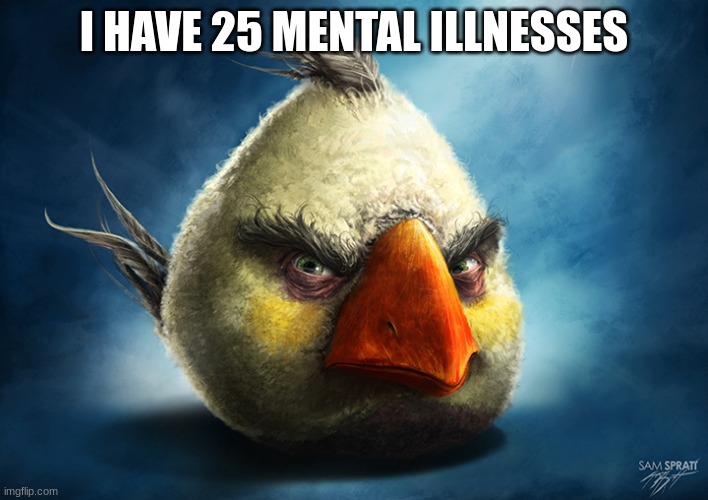 Realistic Angry Bird (Mathilda) | I HAVE 25 MENTAL ILLNESSES | image tagged in angry birds,mental health,creepy,whoa this vr is so realistic,birds,angry baby | made w/ Imgflip meme maker
