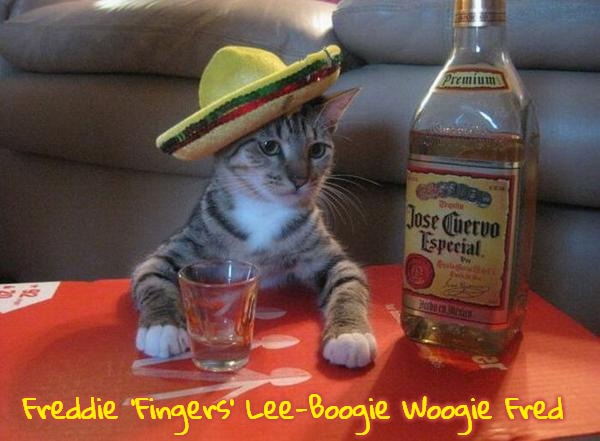 alcohol cat | Freddie 'Fingers' Lee-Boogie Woogie Fred | image tagged in alcohol cat,boogie woogie fred,slavic,freddie 'fingers' lee,freddie fingaz,blacklabel jedih | made w/ Imgflip meme maker