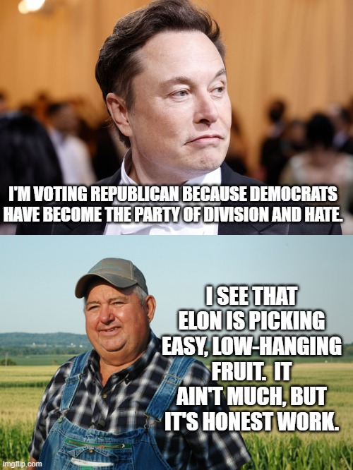 Sometimes you gotta pick the low-hanging fruit. | I'M VOTING REPUBLICAN BECAUSE DEMOCRATS HAVE BECOME THE PARTY OF DIVISION AND HATE. I SEE THAT ELON IS PICKING EASY, LOW-HANGING FRUIT.  IT AIN'T MUCH, BUT IT'S HONEST WORK. | image tagged in easy pickings | made w/ Imgflip meme maker