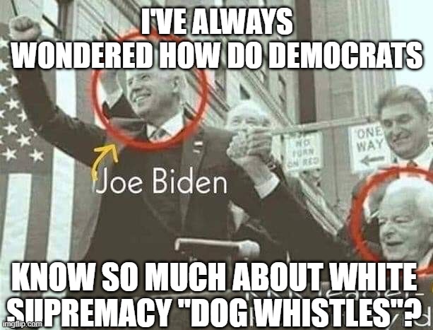 Joe Biden with KKK leader Robert Byrd | I'VE ALWAYS WONDERED HOW DO DEMOCRATS; KNOW SO MUCH ABOUT WHITE SUPREMACY "DOG WHISTLES"? | image tagged in joe biden with kkk leader robert byrd | made w/ Imgflip meme maker