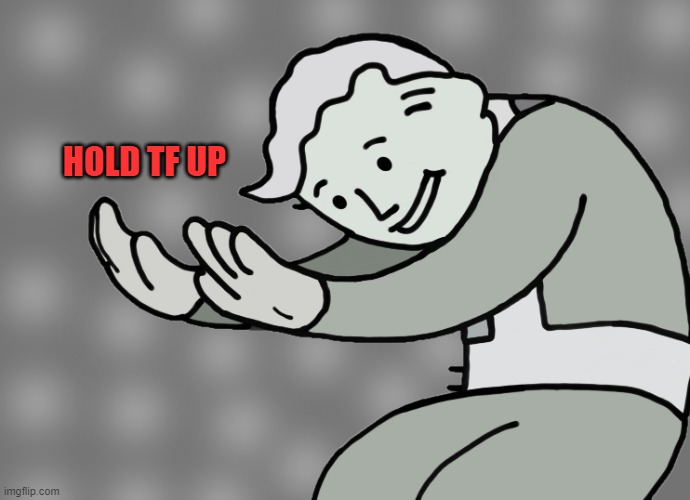 HOLD TF UP | HOLD TF UP | image tagged in hol up,fallout hold up,hold up | made w/ Imgflip meme maker