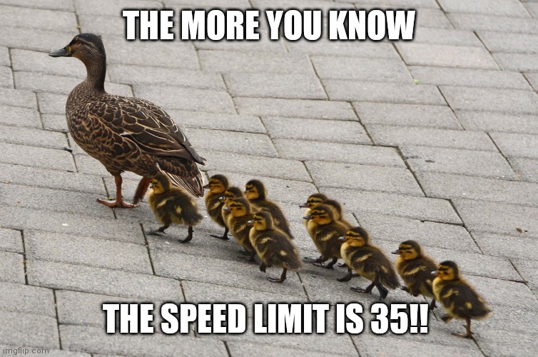 baby ducks | THE MORE YOU KNOW THE SPEED LIMIT IS 35!! | image tagged in baby ducks | made w/ Imgflip meme maker