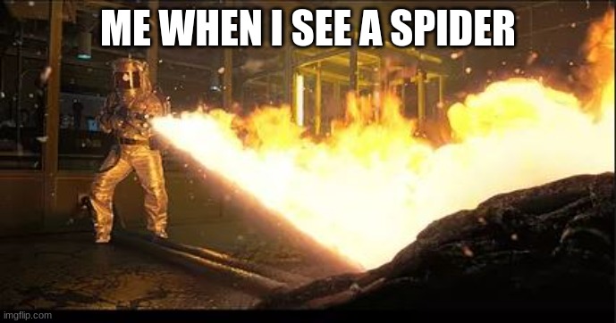 Stranger Things flamethrower | ME WHEN I SEE A SPIDER | image tagged in stranger things flamethrower | made w/ Imgflip meme maker