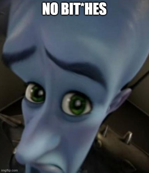 Sad Megamind | NO BIT*HES | image tagged in no bitches | made w/ Imgflip meme maker