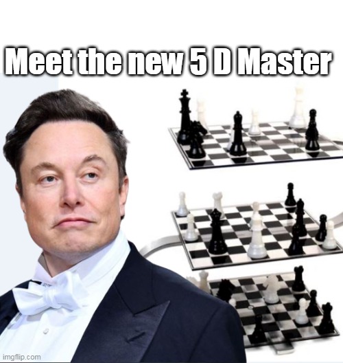 The guy works on a WHOLE other level | Meet the new 5 D Master | image tagged in memes,elon musk,chess,game | made w/ Imgflip meme maker