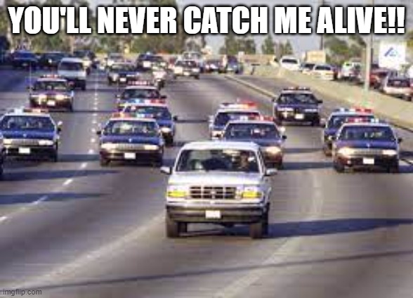 YOU'LL NEVER CATCH ME ALIVE!! | image tagged in cop cars chasing pickup | made w/ Imgflip meme maker