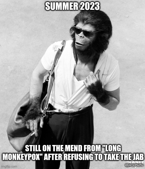 long monkeypox | SUMMER 2023; STILL ON THE MEND FROM "LONG MONKEYPOX" AFTER REFUSING TO TAKE THE JAB; @jerrycthulhu | image tagged in monkeypox,disease,ape,kenji | made w/ Imgflip meme maker