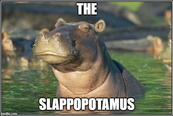 Skeptical Hippo | THE SLAPPOPOTAMUS | image tagged in skeptical hippo | made w/ Imgflip meme maker