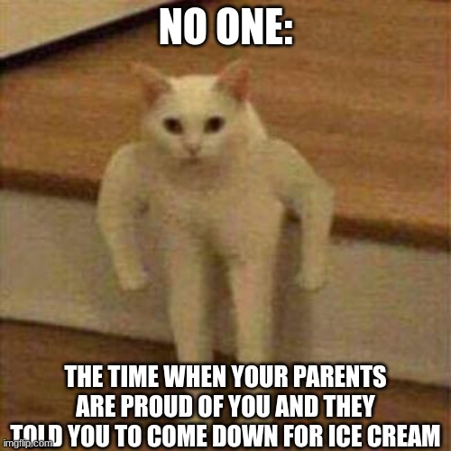 funny | NO ONE:; THE TIME WHEN YOUR PARENTS ARE PROUD OF YOU AND THEY TOLD YOU TO COME DOWN FOR ICE CREAM | image tagged in fun | made w/ Imgflip meme maker