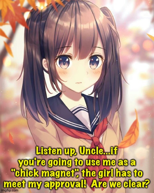 Passing off his niece as his daughter to impress a girl | Listen up, Uncle...if you're going to use me as a "chick magnet", the girl has to meet my approval!  Are we clear? | image tagged in anime niece | made w/ Imgflip meme maker
