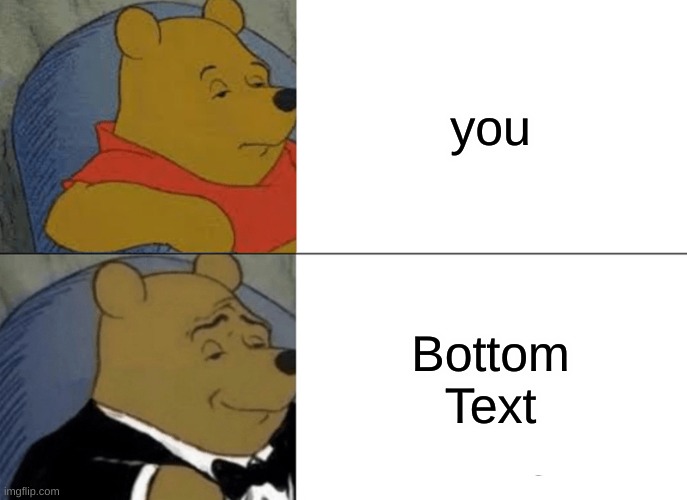 you bottom text | you; Bottom Text | image tagged in memes,tuxedo winnie the pooh,bottom text | made w/ Imgflip meme maker