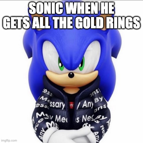 Drip Sonic | SONIC WHEN HE GETS ALL THE GOLD RINGS | image tagged in drip sonic | made w/ Imgflip meme maker