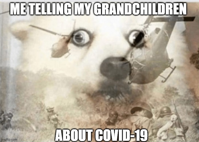 PTSD dog | ME TELLING MY GRANDCHILDREN; ABOUT COVID-19 | image tagged in ptsd dog | made w/ Imgflip meme maker