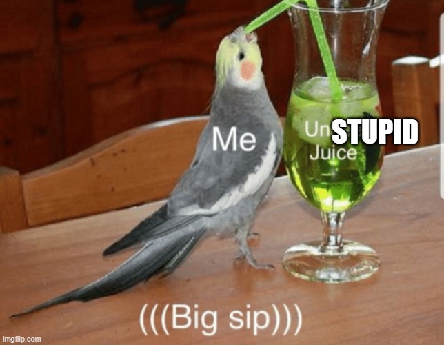 Unsee juice | STUPID | image tagged in unsee juice | made w/ Imgflip meme maker