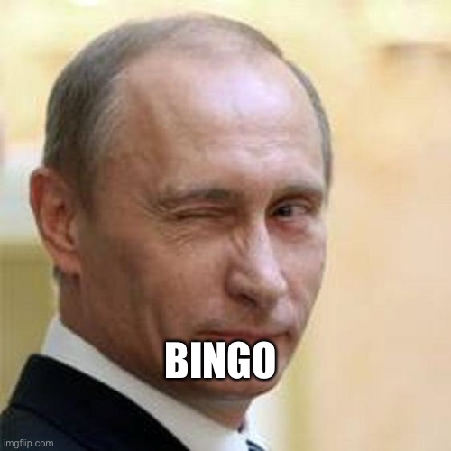 Putin Winking | BINGO | image tagged in putin winking | made w/ Imgflip meme maker