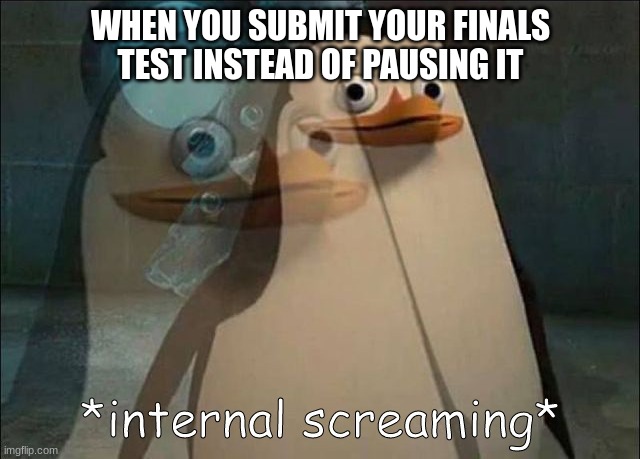 (AAAAAAAAAAAAAAAAAAAAAAAAAAAAAH) | WHEN YOU SUBMIT YOUR FINALS TEST INSTEAD OF PAUSING IT | image tagged in private internal screaming,memes,school | made w/ Imgflip meme maker