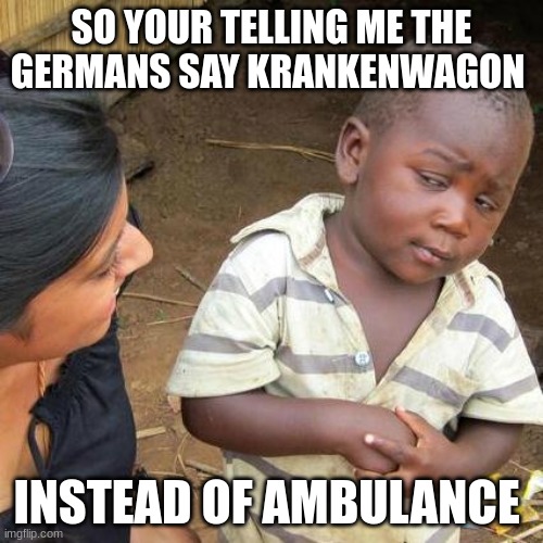 krankenwagon 2 | SO YOUR TELLING ME THE GERMANS SAY KRANKENWAGON; INSTEAD OF AMBULANCE | image tagged in memes,third world skeptical kid | made w/ Imgflip meme maker