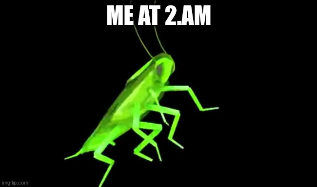 myesmaam | ME AT 2.AM | image tagged in cockroach,mentaly ill,mental,drunk,night | made w/ Imgflip meme maker