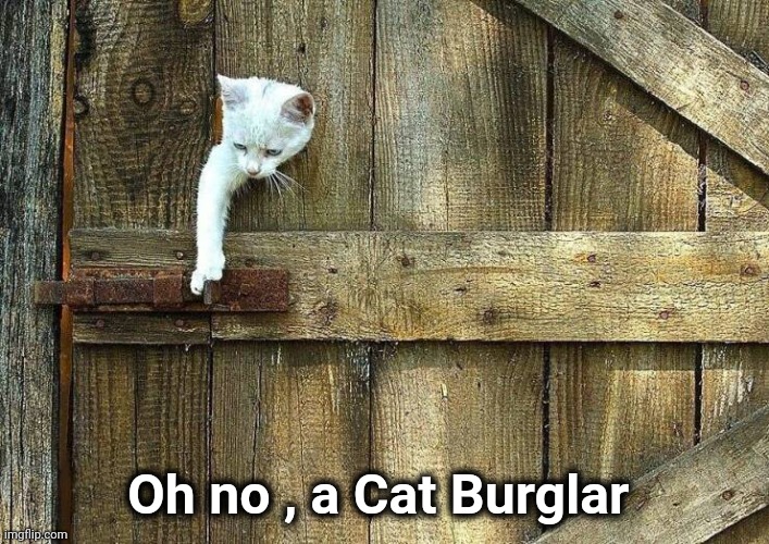 Can smell Tuna from a mile away | Oh no , a Cat Burglar | image tagged in burglar,catwoman,well yes but actually no,breaking bad | made w/ Imgflip meme maker