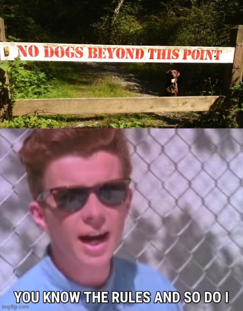 image tagged in rick astley you know the rules | made w/ Imgflip meme maker