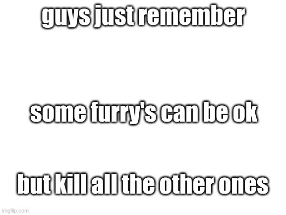 Blank White Template | guys just remember; some furry's can be ok; but kill all the other ones | image tagged in blank white template | made w/ Imgflip meme maker
