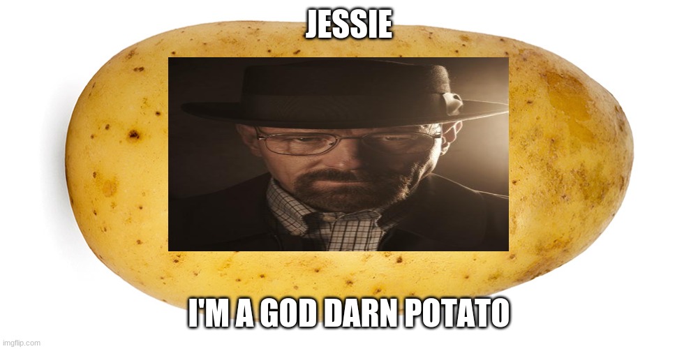 potato | JESSIE; I'M A GOD DARN POTATO | image tagged in potato | made w/ Imgflip meme maker