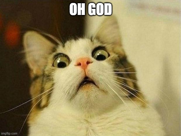 Scared Cat Meme | OH GOD | image tagged in memes,scared cat | made w/ Imgflip meme maker