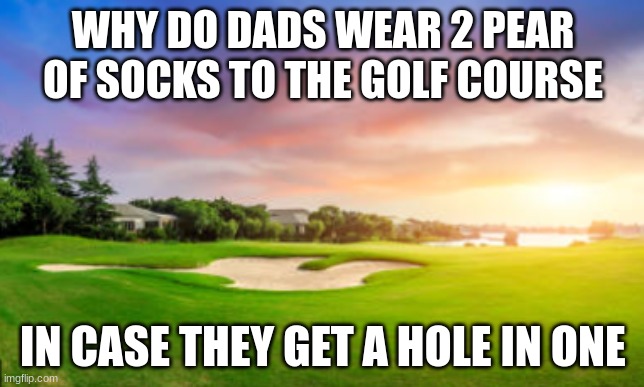 WHY DO DADS WEAR 2 PEAR OF SOCKS TO THE GOLF COURSE; IN CASE THEY GET A HOLE IN ONE | image tagged in bad pun dog | made w/ Imgflip meme maker