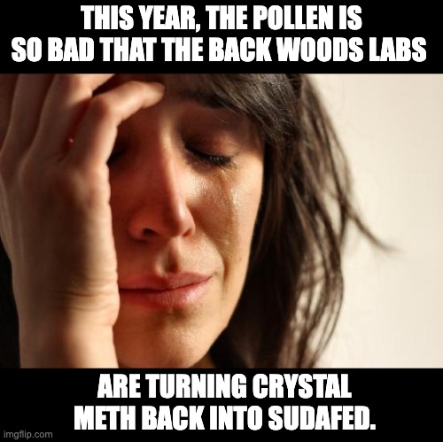 Pollen |  THIS YEAR, THE POLLEN IS SO BAD THAT THE BACK WOODS LABS; ARE TURNING CRYSTAL METH BACK INTO SUDAFED. | image tagged in memes,first world problems | made w/ Imgflip meme maker