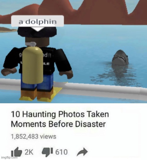 oof | image tagged in roblox,dolphin,oof,go commit die,haunting photos | made w/ Imgflip meme maker