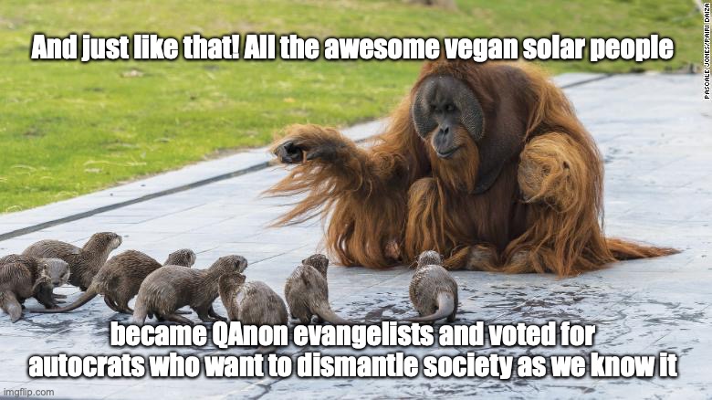 Just like that | And just like that! All the awesome vegan solar people; became QAnon evangelists and voted for autocrats who want to dismantle society as we know it | image tagged in just like that | made w/ Imgflip meme maker