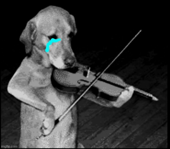 Sad dog playing the violin | image tagged in sad dog playing the violin | made w/ Imgflip meme maker