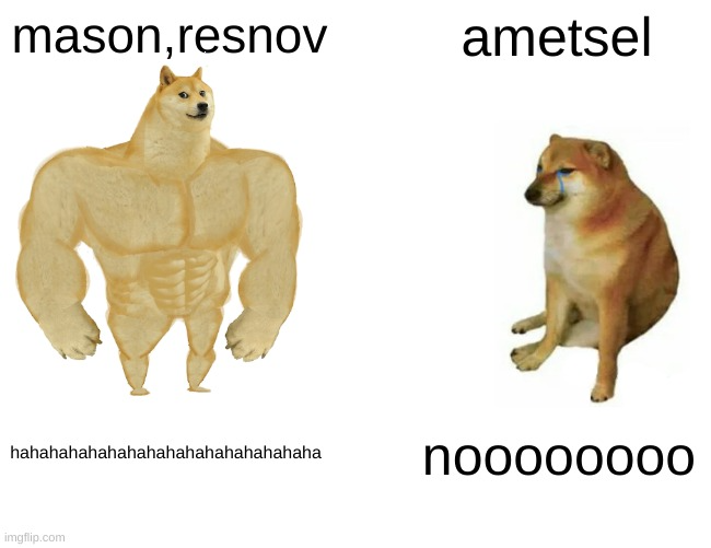 resnov vs ametsel Blank Meme Template