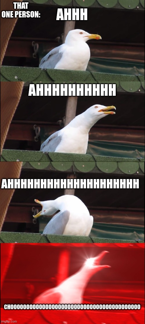 Inhaling Seagull Meme | THAT ONE PERSON:; AHHH; AHHHHHHHHHH; AHHHHHHHHHHHHHHHHHHHH; CHOOOOOOOOOOOOOOOOOOOOOOOOOOOOOOOOOOOOOOOOO | image tagged in memes,inhaling seagull | made w/ Imgflip meme maker