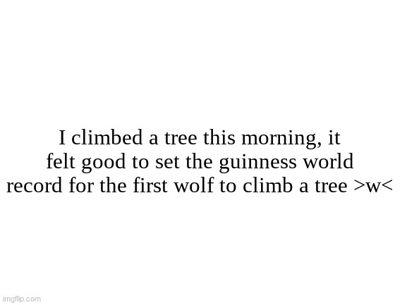 Now I gotta figure out how to fly | I climbed a tree this morning, it felt good to set the guinness world record for the first wolf to climb a tree >w< | image tagged in blank white template | made w/ Imgflip meme maker