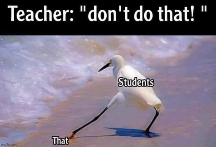 Dinstinctions | image tagged in teacher humor | made w/ Imgflip meme maker