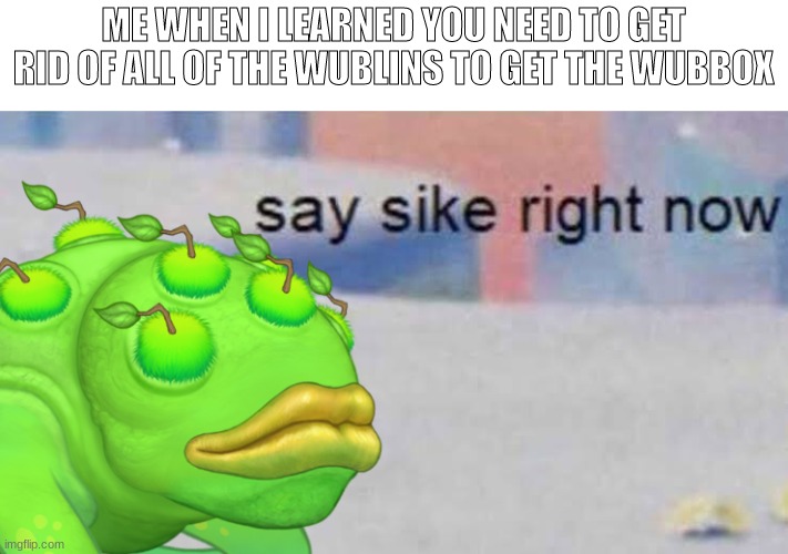 true | ME WHEN I LEARNED YOU NEED TO GET RID OF ALL OF THE WUBLINS TO GET THE WUBBOX | image tagged in brump say sike right now,my singing monsters | made w/ Imgflip meme maker