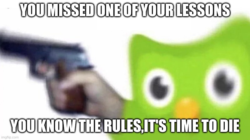 duolingo gun | YOU MISSED ONE OF YOUR LESSONS; YOU KNOW THE RULES,IT'S TIME TO DIE | image tagged in duolingo gun | made w/ Imgflip meme maker