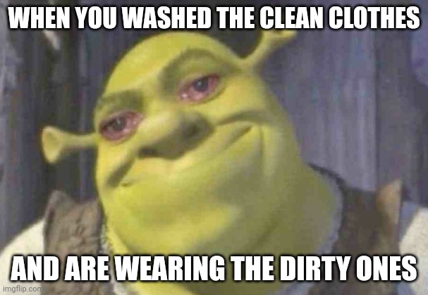 Crying shrek | WHEN YOU WASHED THE CLEAN CLOTHES; AND ARE WEARING THE DIRTY ONES | image tagged in crying shrek,funny memes | made w/ Imgflip meme maker