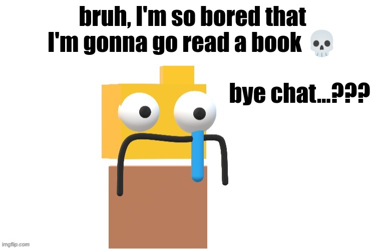 Farewell (for now) | bruh, I'm so bored that I'm gonna go read a book 💀; bye chat...??? | image tagged in zad rondu made by xploded | made w/ Imgflip meme maker