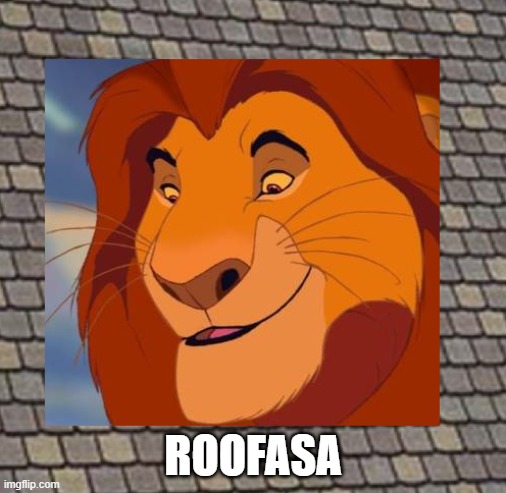 roofasa | ROOFASA | image tagged in new template | made w/ Imgflip meme maker