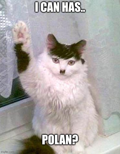 hitler cat | I CAN HAS.. POLAN? | image tagged in hitler cat | made w/ Imgflip meme maker