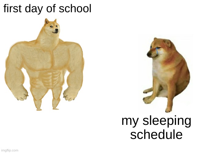 Buff Doge vs. Cheems | first day of school; my sleeping schedule | image tagged in memes,buff doge vs cheems | made w/ Imgflip meme maker