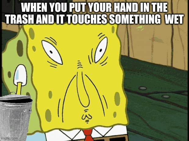 all the time | WHEN YOU PUT YOUR HAND IN THE TRASH AND IT TOUCHES SOMETHING  WET | image tagged in spongebob funny face | made w/ Imgflip meme maker