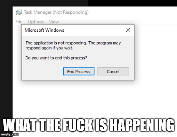 help, even task manager gave up | WHAT THE FUCK IS HAPPENING | made w/ Imgflip meme maker